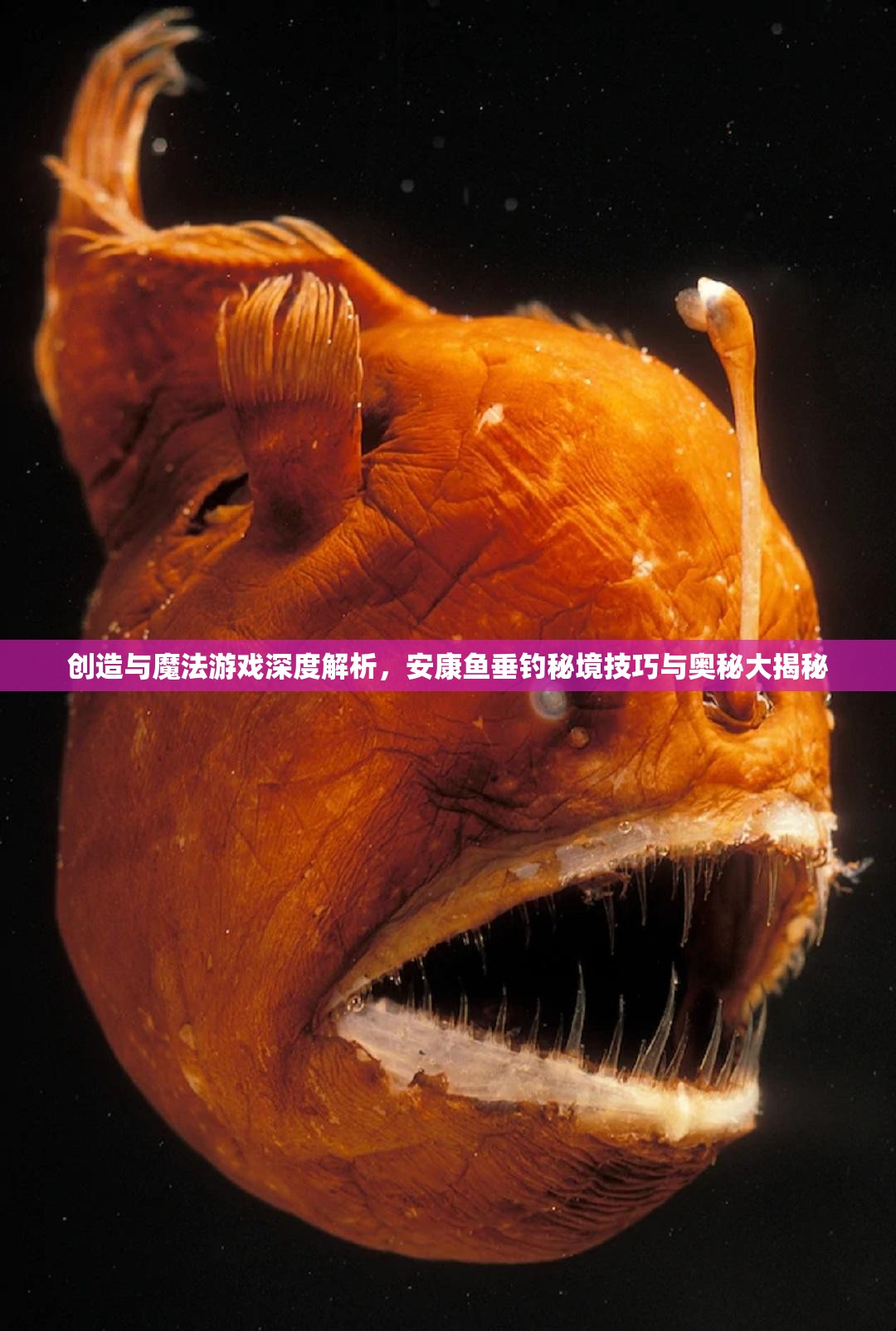 创造与魔法游戏深度解析，安康鱼垂钓秘境技巧与奥秘大揭秘