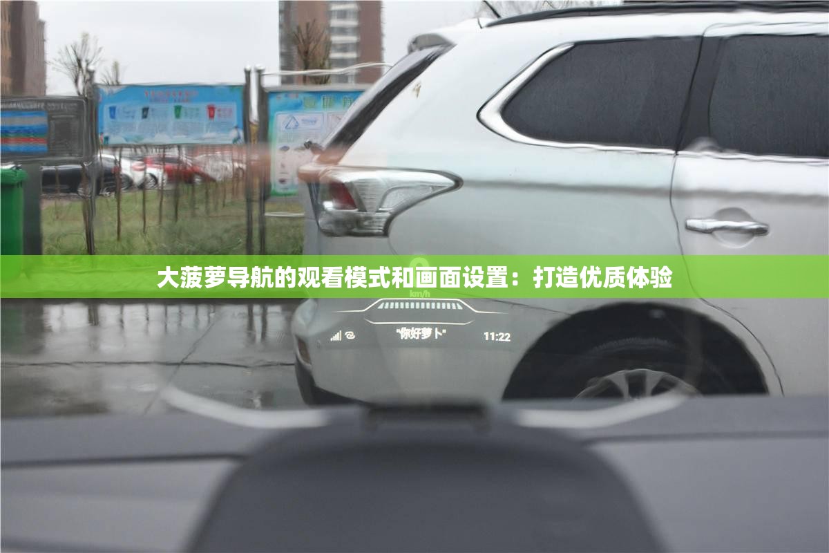 大菠萝导航的观看模式和画面设置：打造优质体验