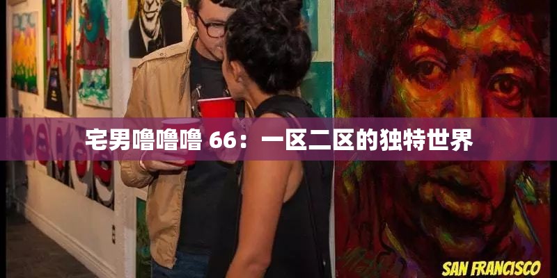 宅男噜噜噜 66：一区二区的独特世界