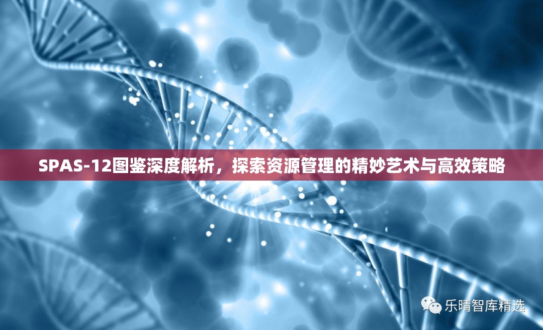 SPAS-12图鉴深度解析，探索资源管理的精妙艺术与高效策略
