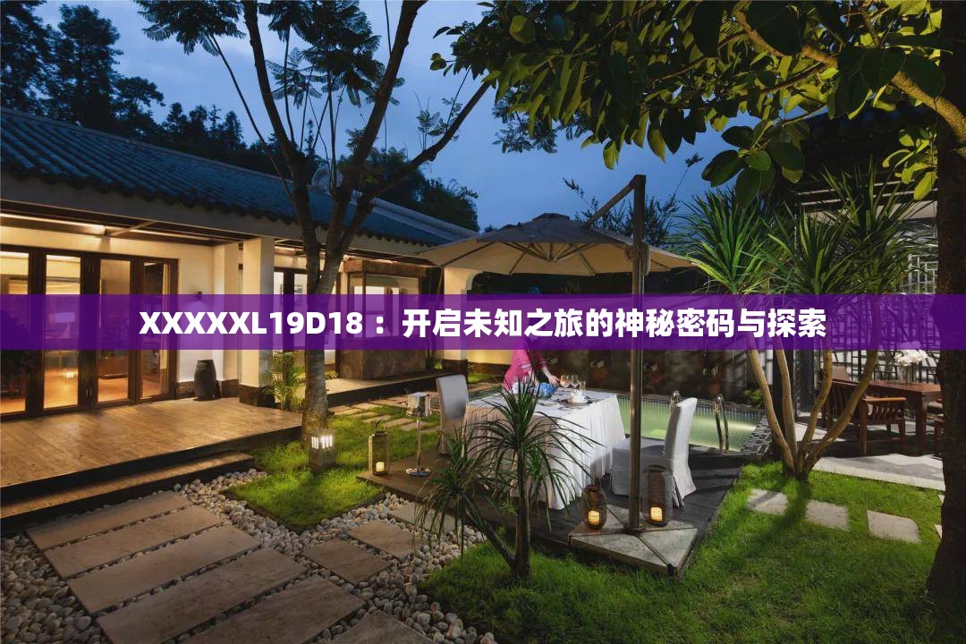 XXXXXL19D18 ：开启未知之旅的神秘密码与探索