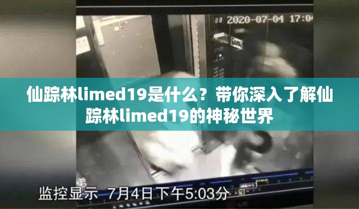 仙踪林limed19是什么？带你深入了解仙踪林limed19的神秘世界