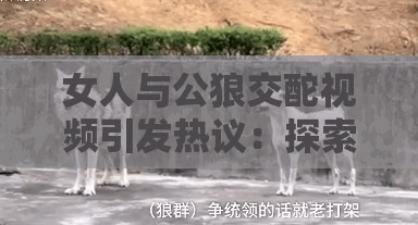 女人与公狼交酡视频引发热议：探索人与自然和谐共处的深层意义
