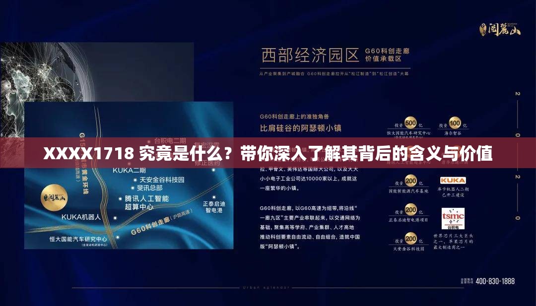 XXXX1718 究竟是什么？带你深入了解其背后的含义与价值