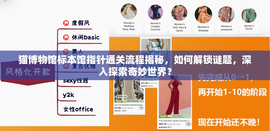 猫博物馆标本馆指针通关流程揭秘，如何解锁谜题，深入探索奇妙世界？